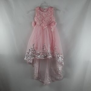 Pink princess  dress  2T 3T?